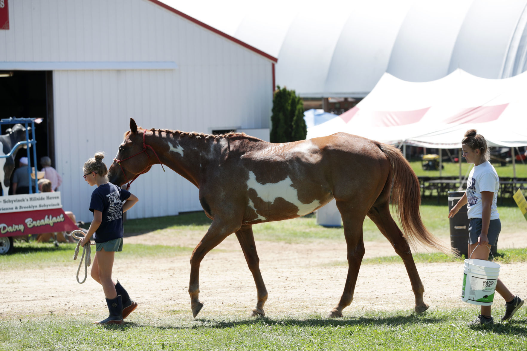 Sauk County Fair